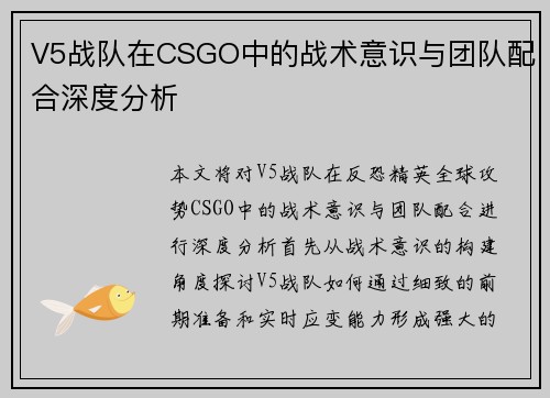 V5战队在CSGO中的战术意识与团队配合深度分析